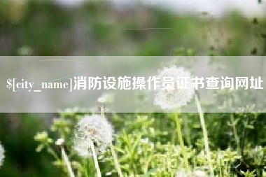 汕尾消防设施操作员证书查询网址