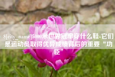 汕尾5000米世界冠军穿什么鞋-它们是运动员取得优异成绩背后的重要“功臣”