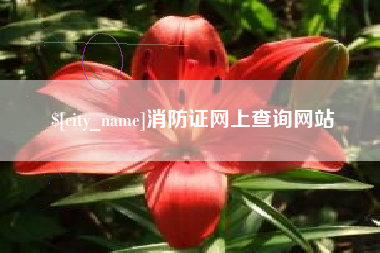 汕尾消防证网上查询网站