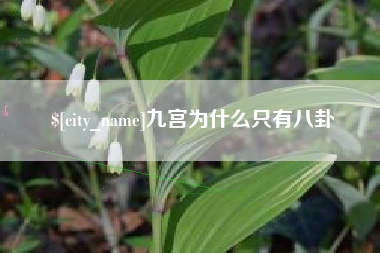 汕尾九宫为什么只有八卦