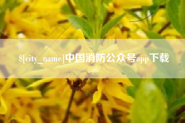 汕尾中国消防公众号app下载