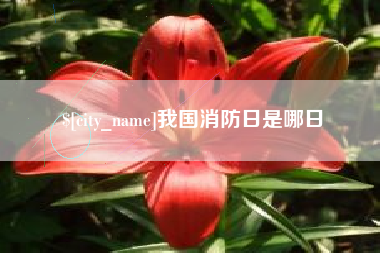 汕尾我国消防日是哪日