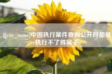 汕尾中国执行案件查询公开网都是执行不了得案子