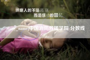 汕尾中国消防救援学院 分数线