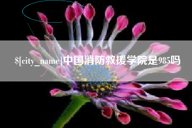汕尾中国消防救援学院是985吗