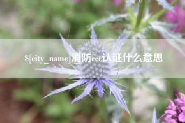 汕尾消防ccc认证什么意思