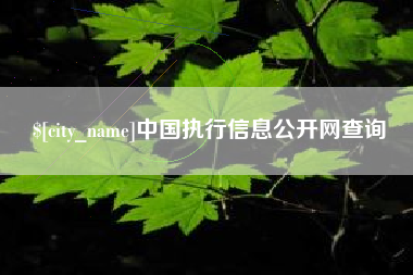 汕尾中国执行信息公开网查询