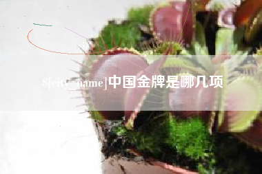 汕尾中国金牌是哪几项