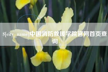 汕尾中国消防救援学院官网首页查询