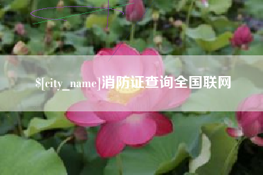 汕尾消防证查询全国联网