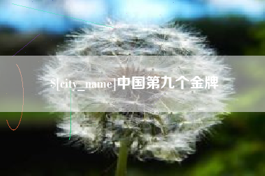 汕尾中国第九个金牌