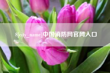 汕尾中国消防网官网入口