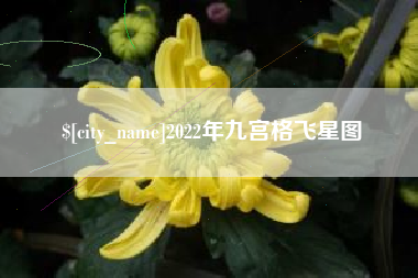 汕尾2022年九宫格飞星图
