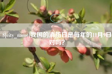 汕尾我国的消防日是每年的11月9日对吗？