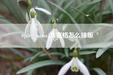 汕尾九宫格怎么排版
