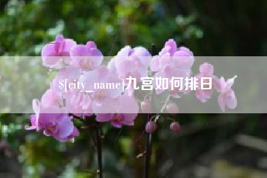 汕尾九宫如何排日