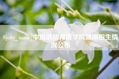 汕尾中国消防救援学院湖南招生情况公布