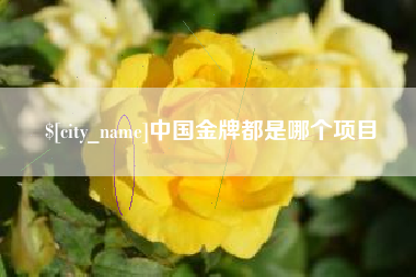汕尾中国金牌都是哪个项目
