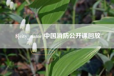汕尾中国消防公开课回放