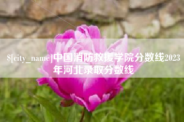汕尾中国消防救援学院分数线2023年河北录取分数线
