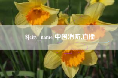 汕尾中国消防,直播
