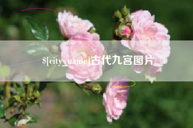 汕尾古代九宫图片