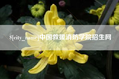 汕尾中国救援消防学院招生网