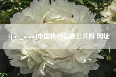 汕尾中国执行信息公开网 网址