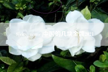 汕尾中国的几块金牌2021