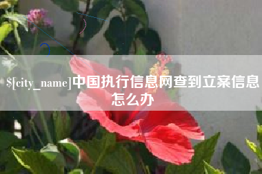 汕尾中国执行信息网查到立案信息怎么办