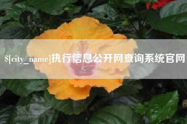 汕尾执行信息公开网查询系统官网