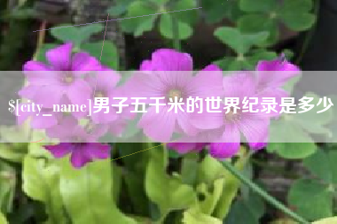 汕尾男子五千米的世界纪录是多少