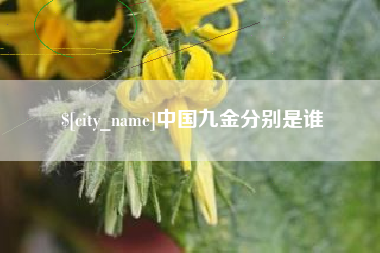 汕尾中国九金分别是谁