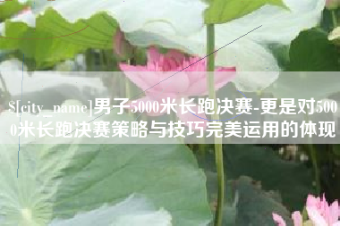 汕尾男子5000米长跑决赛-更是对5000米长跑决赛策略与技巧完美运用的体现