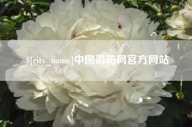 汕尾中国消防网官方网站