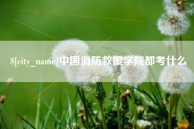 汕尾中国消防救援学院都考什么