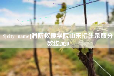 汕尾消防救援学院山东招生录取分数线2020