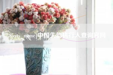 汕尾中国失信执行人查询官网
