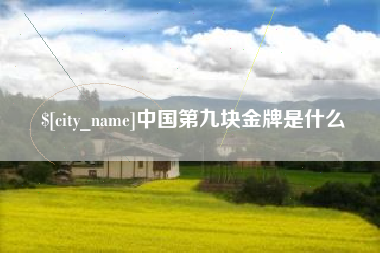 汕尾中国第九块金牌是什么