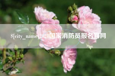 汕尾2021国家消防员报名官网