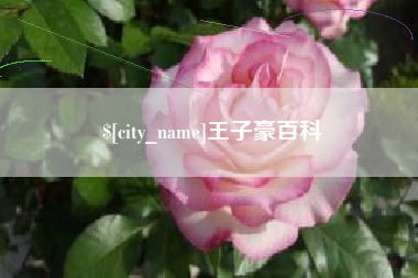 汕尾王子豪百科