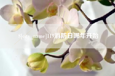 汕尾119消防日哪年开始