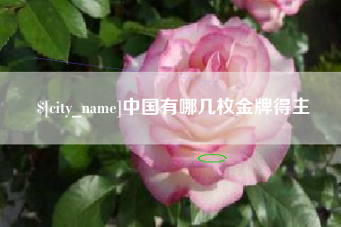 汕尾中国有哪几枚金牌得主
