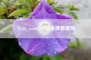 汕尾中国金牌都是啥
