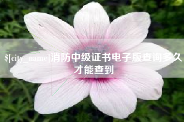 汕尾消防中级证书电子版查询多久才能查到