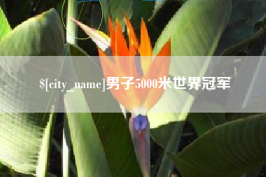 汕尾男子5000米世界冠军