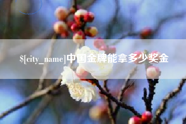 汕尾中国金牌能拿多少奖金