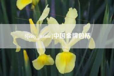 汕尾中国金牌包括