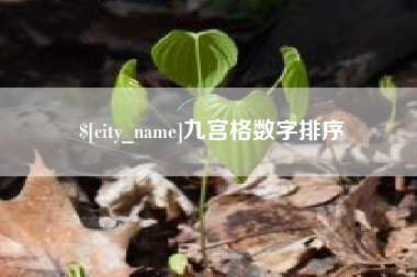 汕尾九宫格数字排序