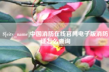汕尾中国消防在线官网电子版消防证怎么查询